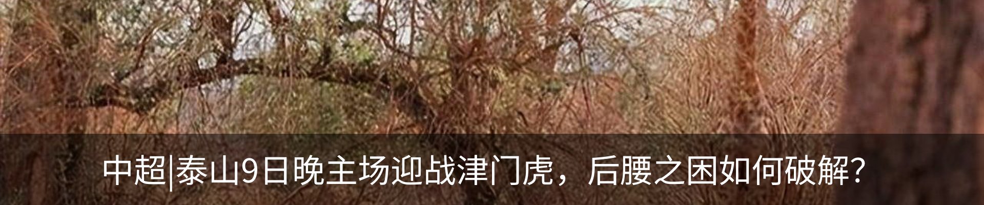 内页banner