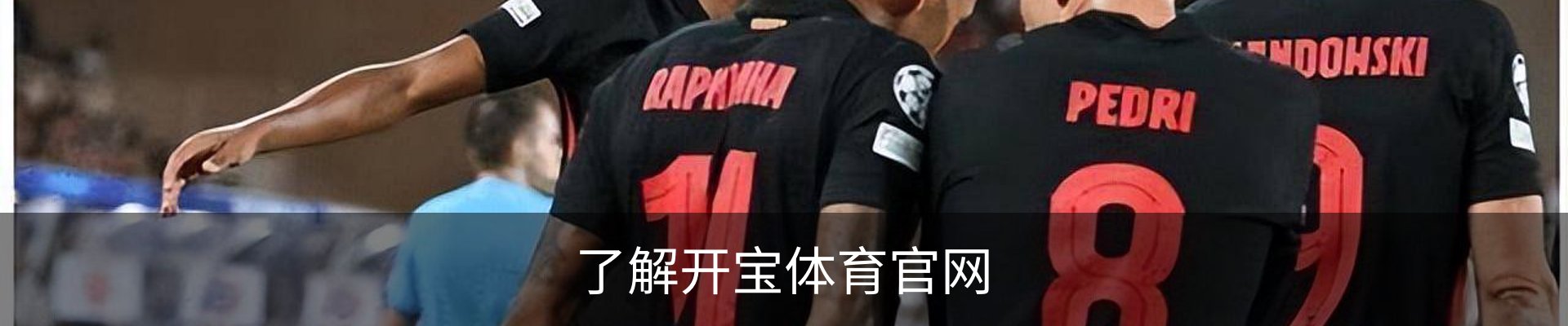 内页banner