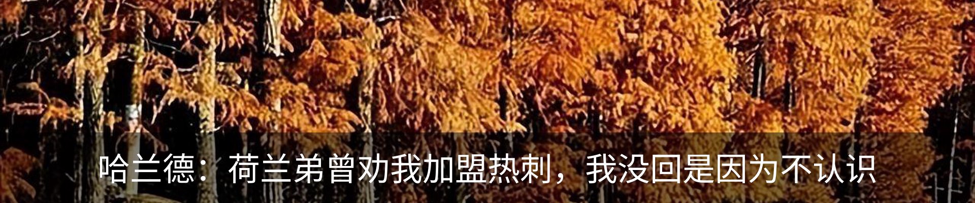 内页banner