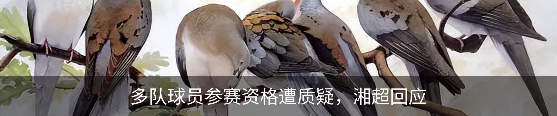 内页banner