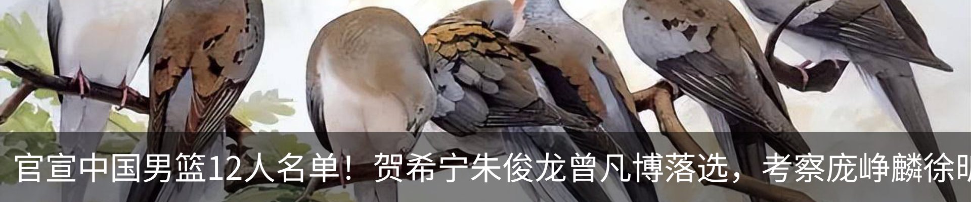 内页banner